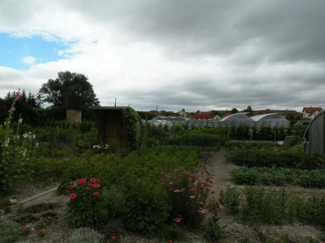 potager